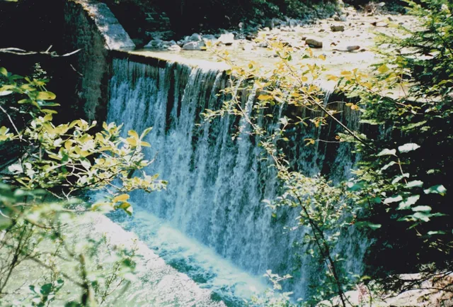 La Trême qui cascade entre les arbres.